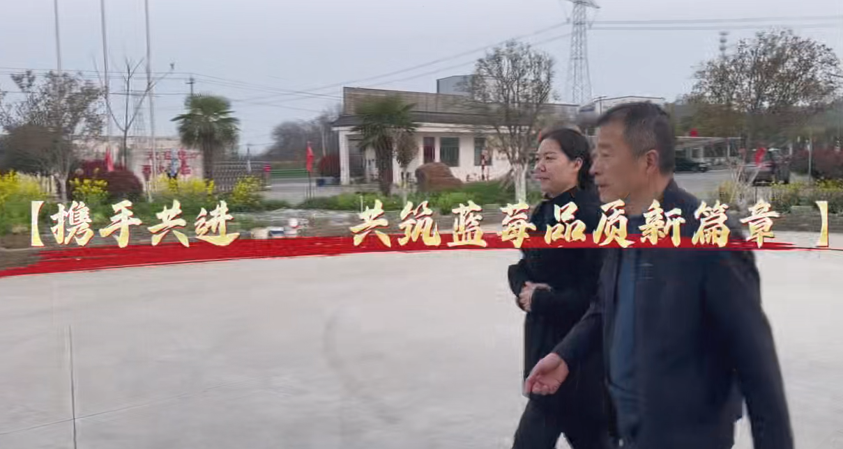 春日聚力,共绘严桥新篇